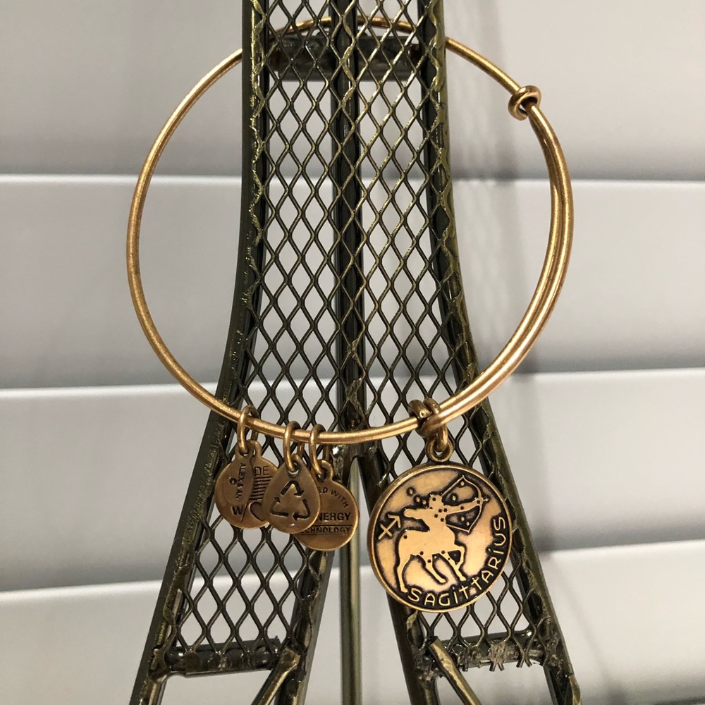 🌸ALEX & ANI